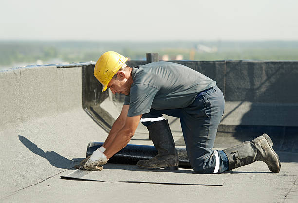 Best Commercial Insulation in Billington Heights, NY